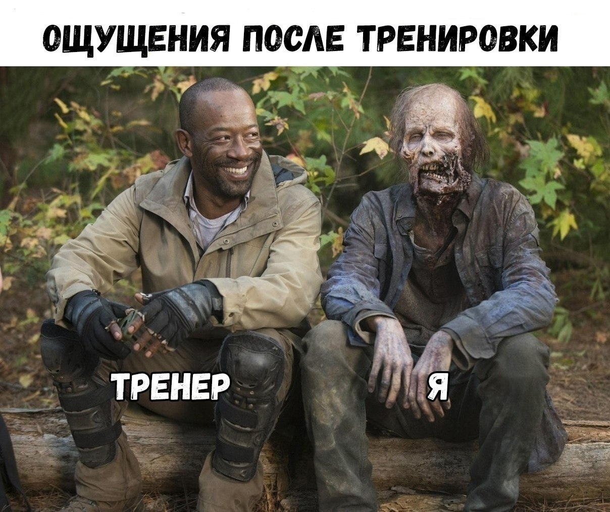 Жим, рекорд, элита и пожать четырех себя! - Бодибилдинг форум AnabolicShops