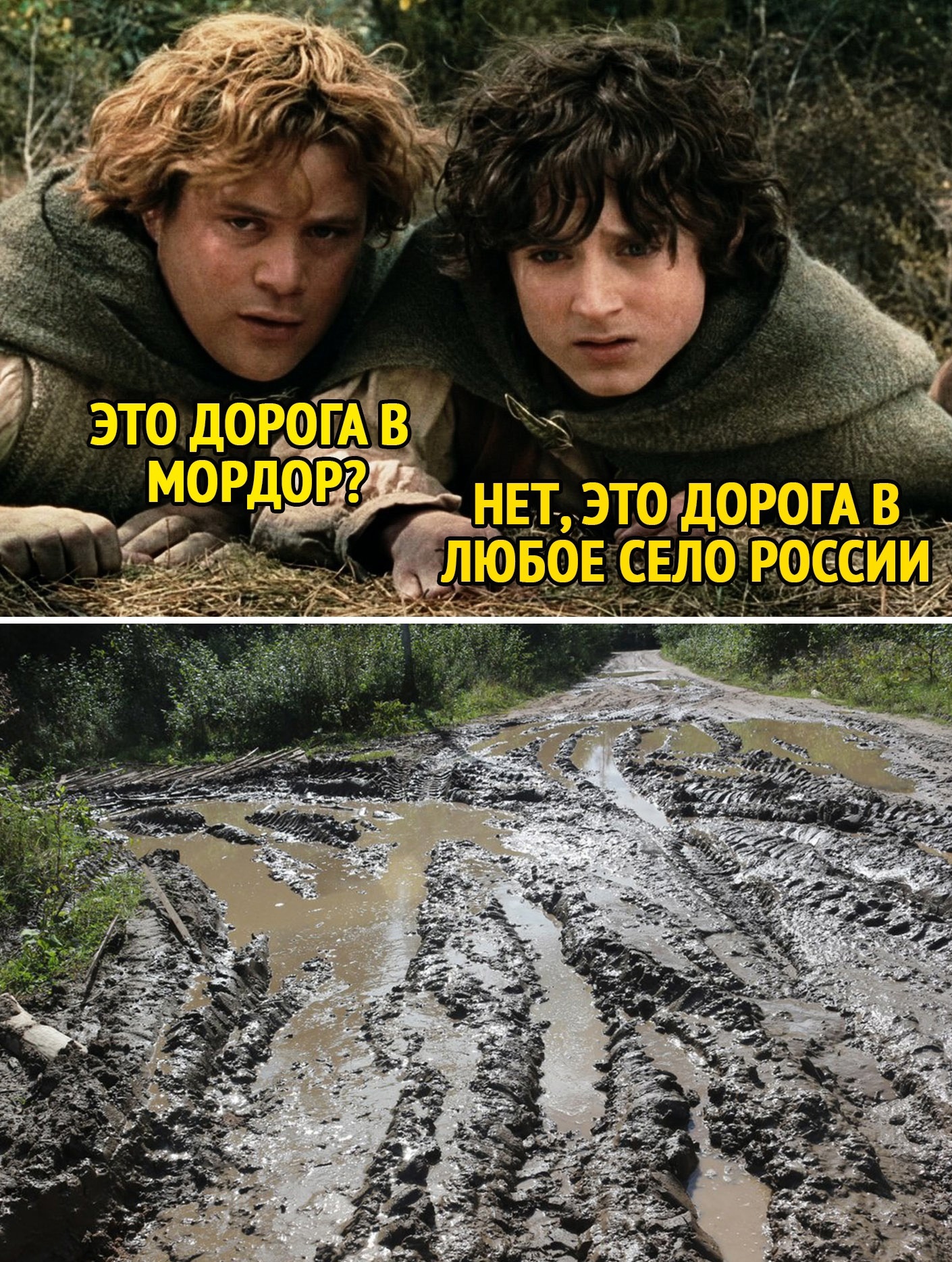Фильмы (рекомендации,мнения,критика) - Бодибилдинг форум AnabolicShops