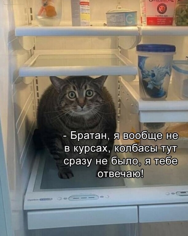 Анекдоты обо всем - Бодибилдинг форум AnabolicShops