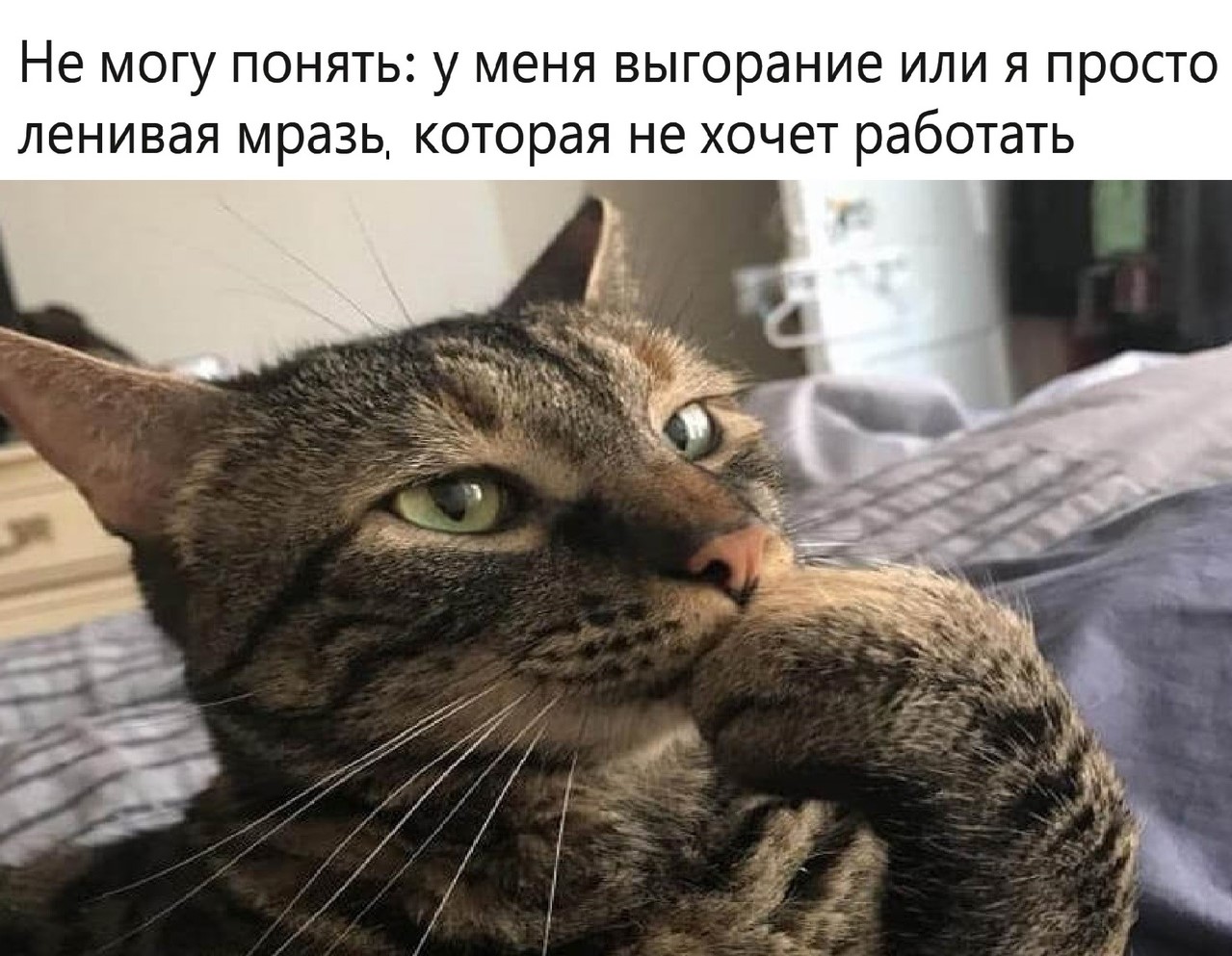 Hilma PRO - с заботой о вашем здоровье! - Бодибилдинг форум AnabolicShops