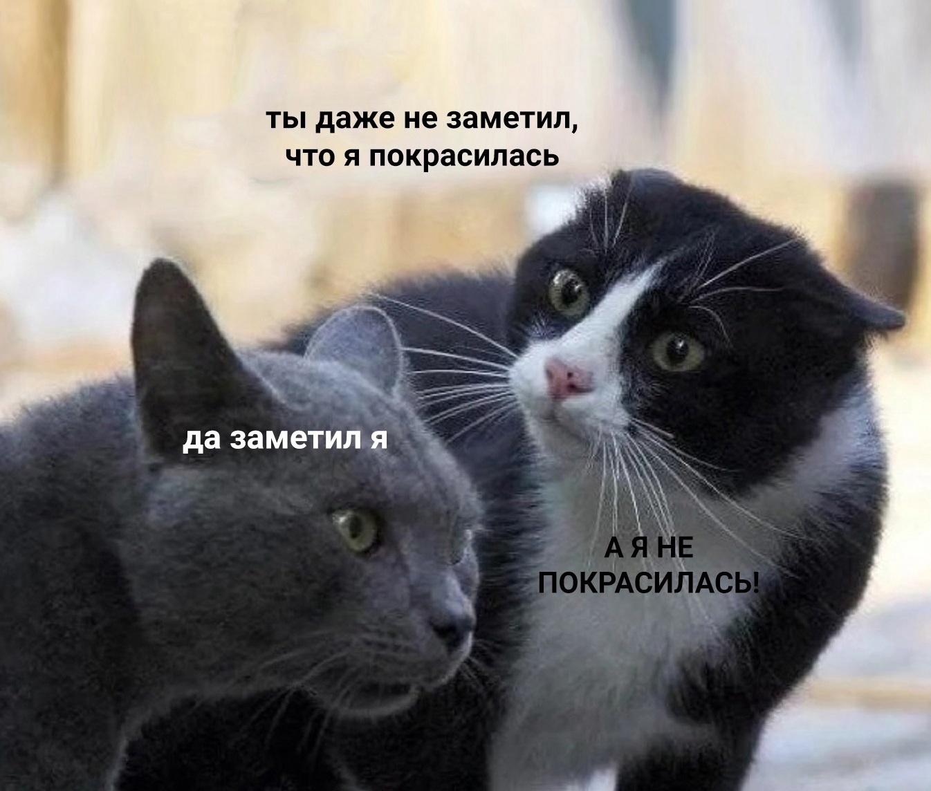 Анекдоты обо всем - Бодибилдинг форум AnabolicShops