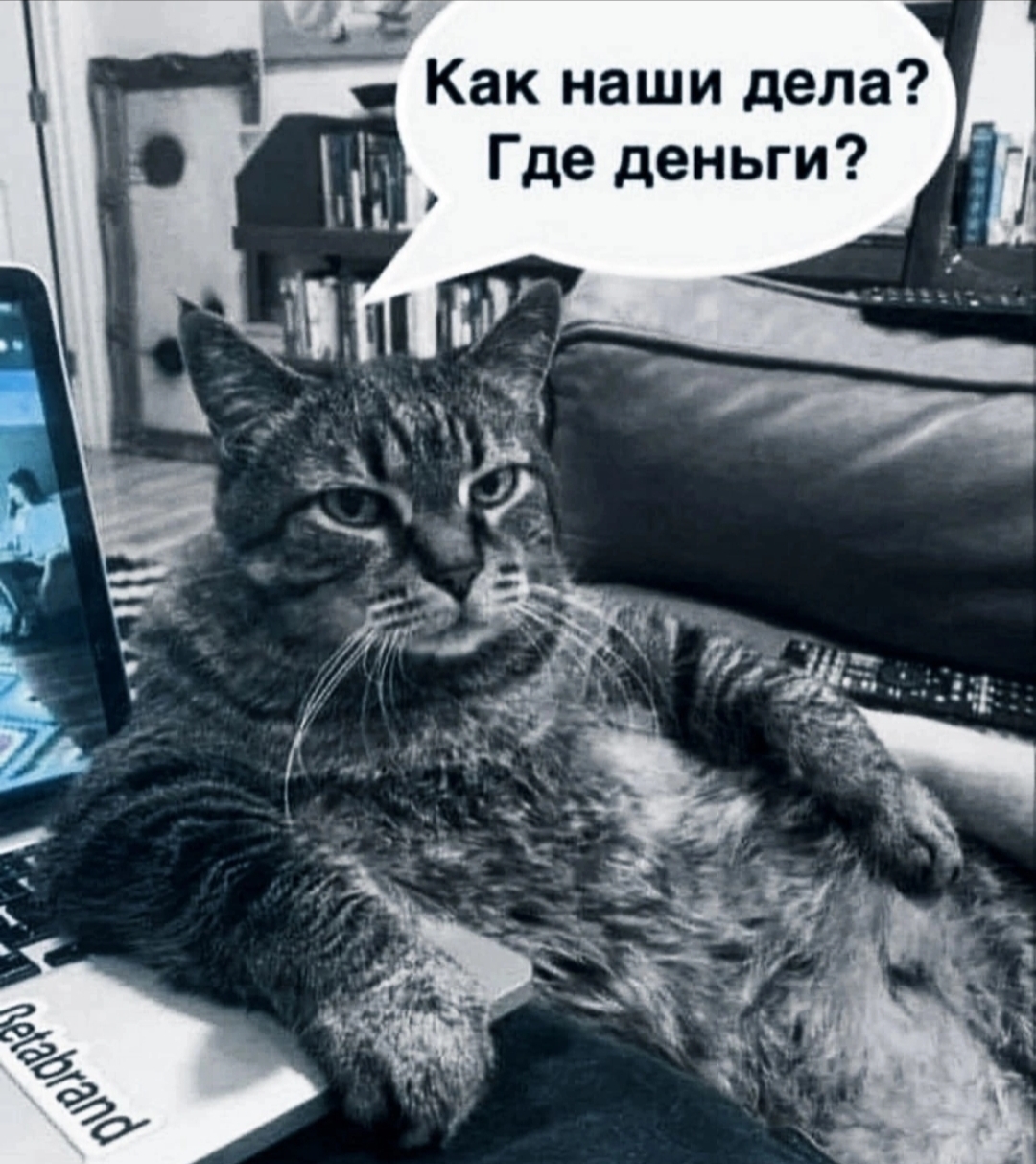 Hilma PRO - с заботой о вашем здоровье! - Бодибилдинг форум AnabolicShops