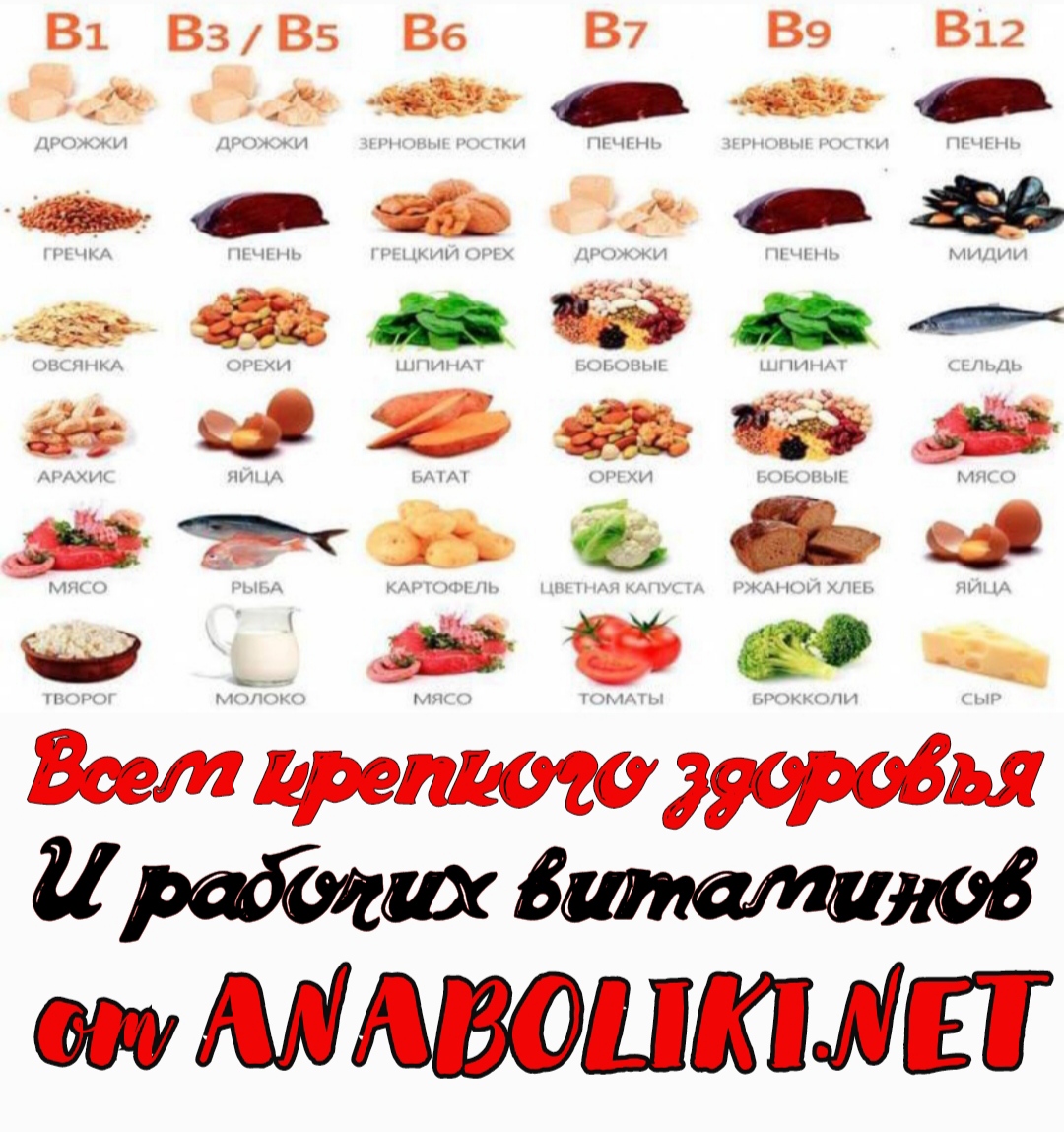 АНАБОЛИКИ.net - оф.дилер SP, Zerox, Genetic, Magnus, Lyka ! - Бодибилдинг форум AnabolicShops