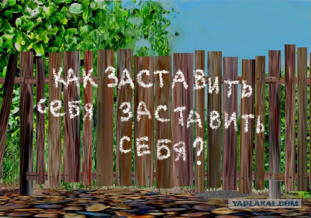 Курилка- разговоры на любые темы - Бодибилдинг форум AnabolicShops