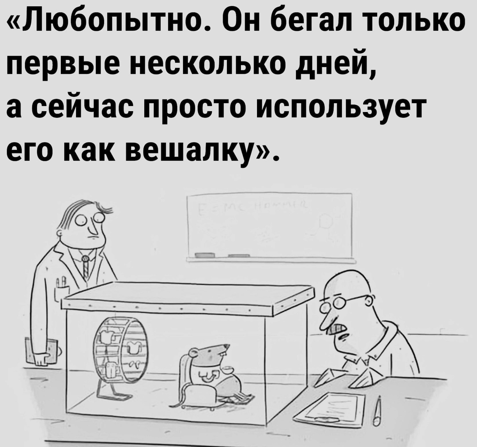 Анекдоты обо всем - Бодибилдинг форум AnabolicShops