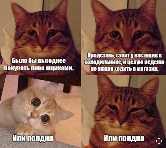 Анекдоты обо всем - Бодибилдинг форум AnabolicShops