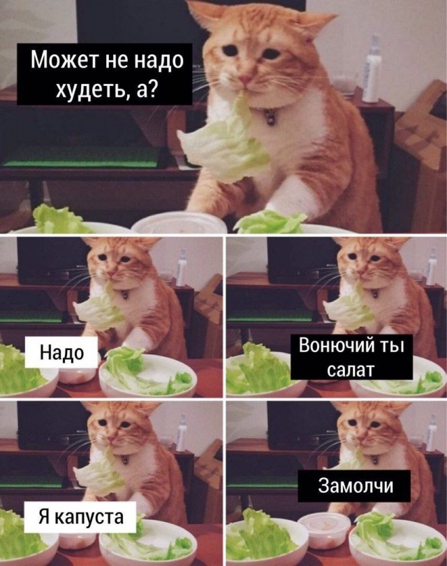 Курилка- разговоры на любые темы - Бодибилдинг форум AnabolicShops