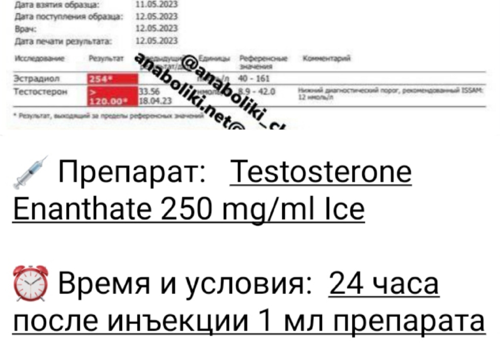 АНАБОЛИКИ.net - оф.дилер SP, Zerox, Genetic, Magnus, Lyka ! - Бодибилдинг форум AnabolicShops