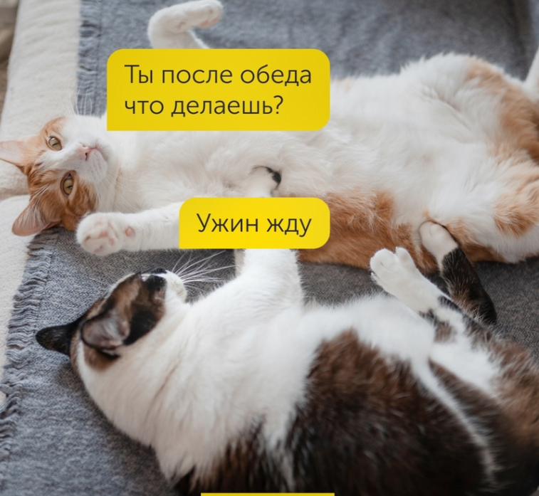 Hilma PRO - с заботой о вашем здоровье! - Бодибилдинг форум AnabolicShops