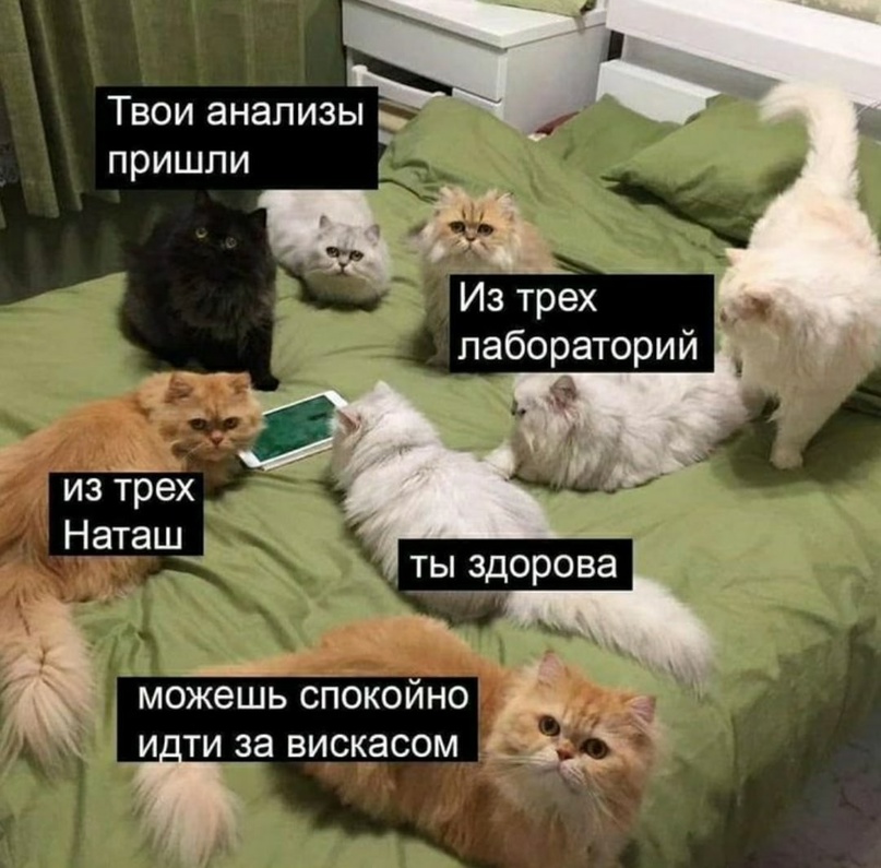 АНАБОЛИКИ.net - оф.дилер SP, Zerox, Genetic, Magnus, Lyka ! - Бодибилдинг форум AnabolicShops