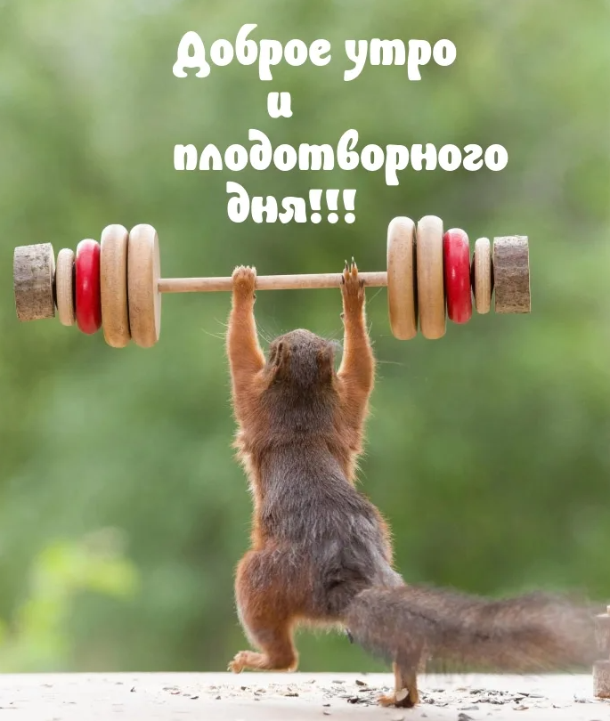 Курилка- разговоры на любые темы - Бодибилдинг форум AnabolicShops
