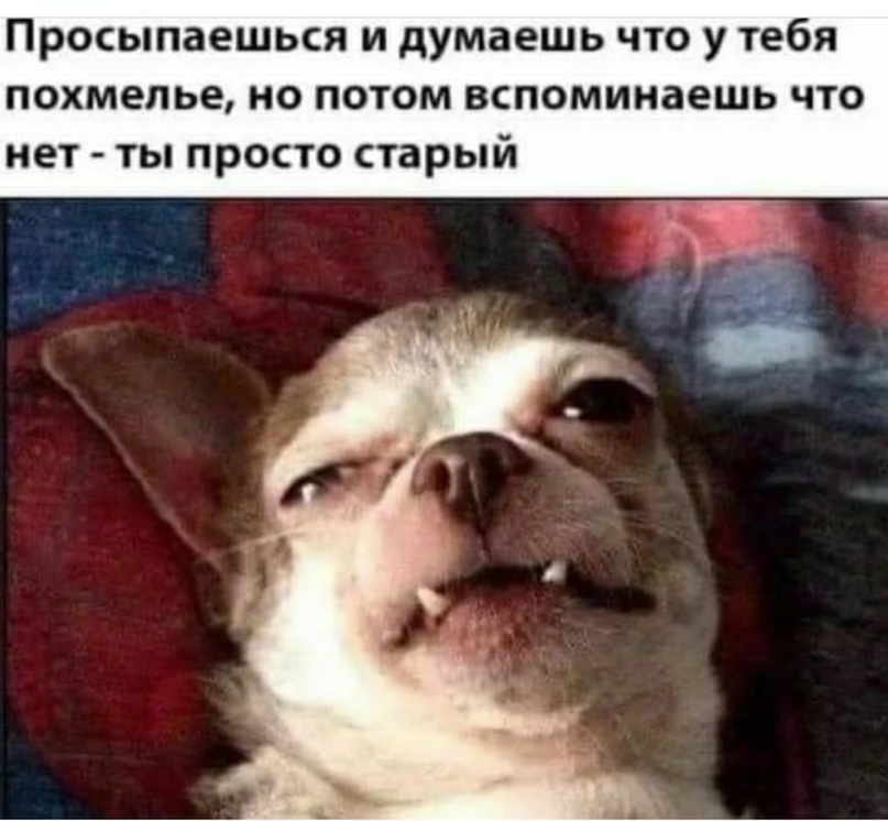 Анекдоты обо всем - Бодибилдинг форум AnabolicShops