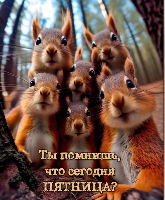 Курилка- разговоры на любые темы - Бодибилдинг форум AnabolicShops