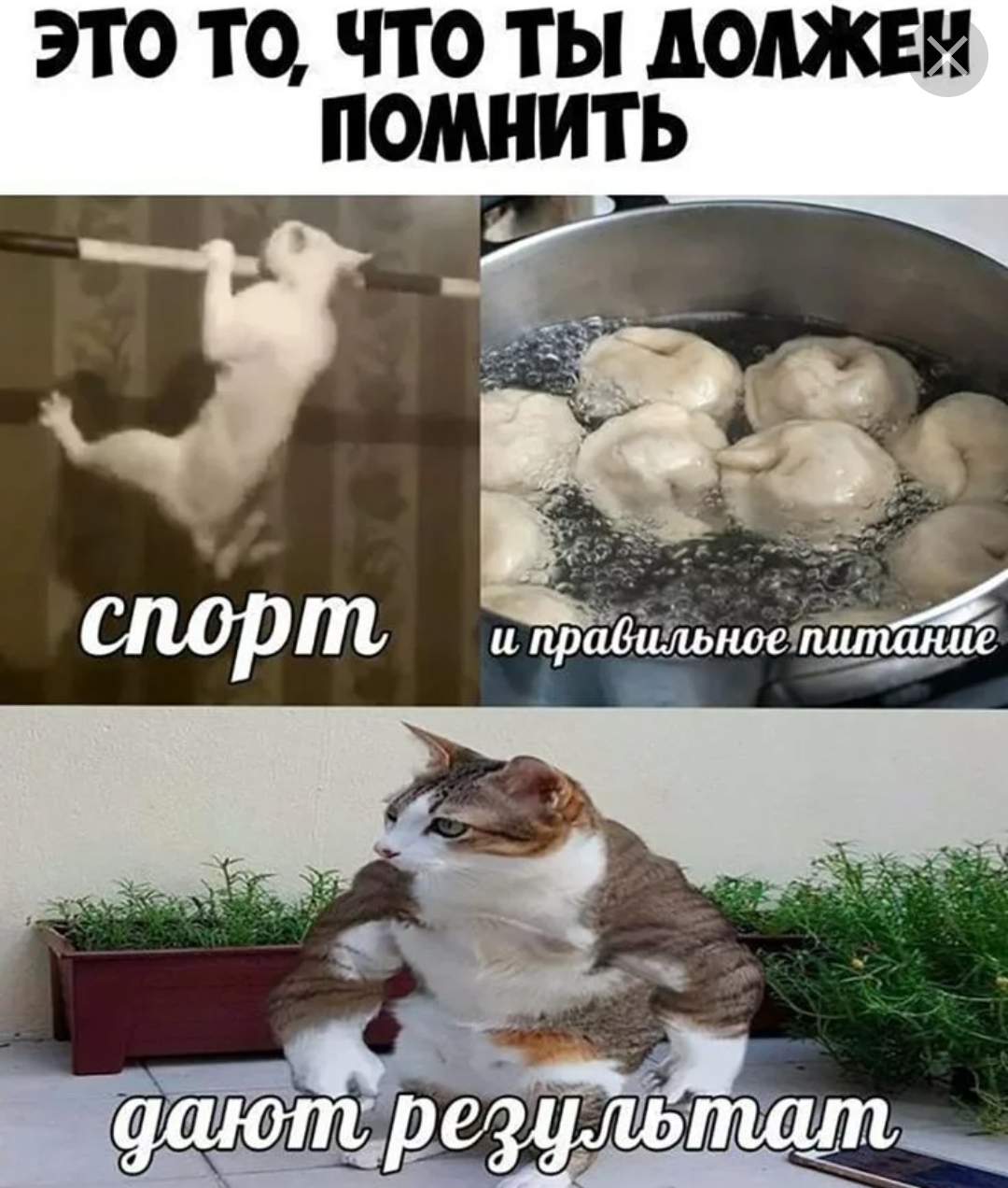 Анекдоты обо всем - Бодибилдинг форум AnabolicShops