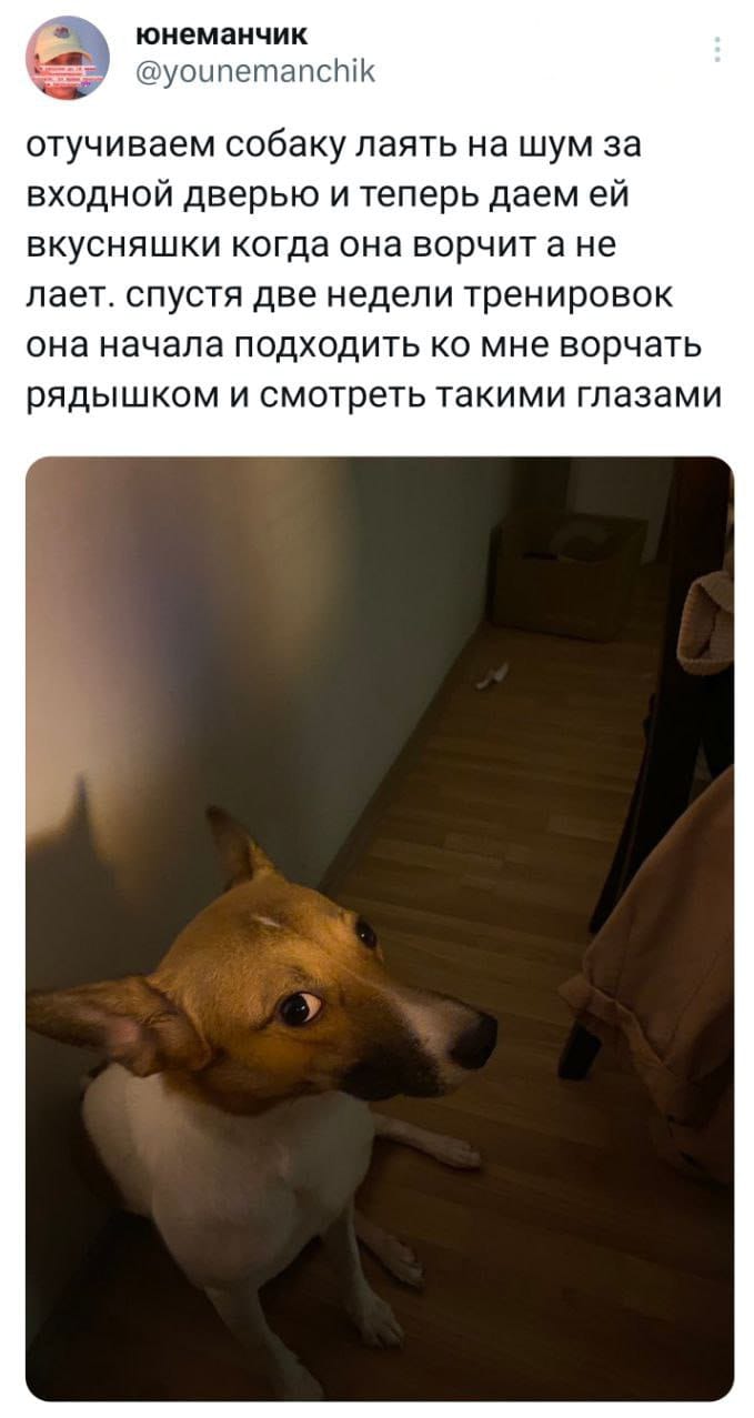 Анекдоты обо всем - Бодибилдинг форум AnabolicShops