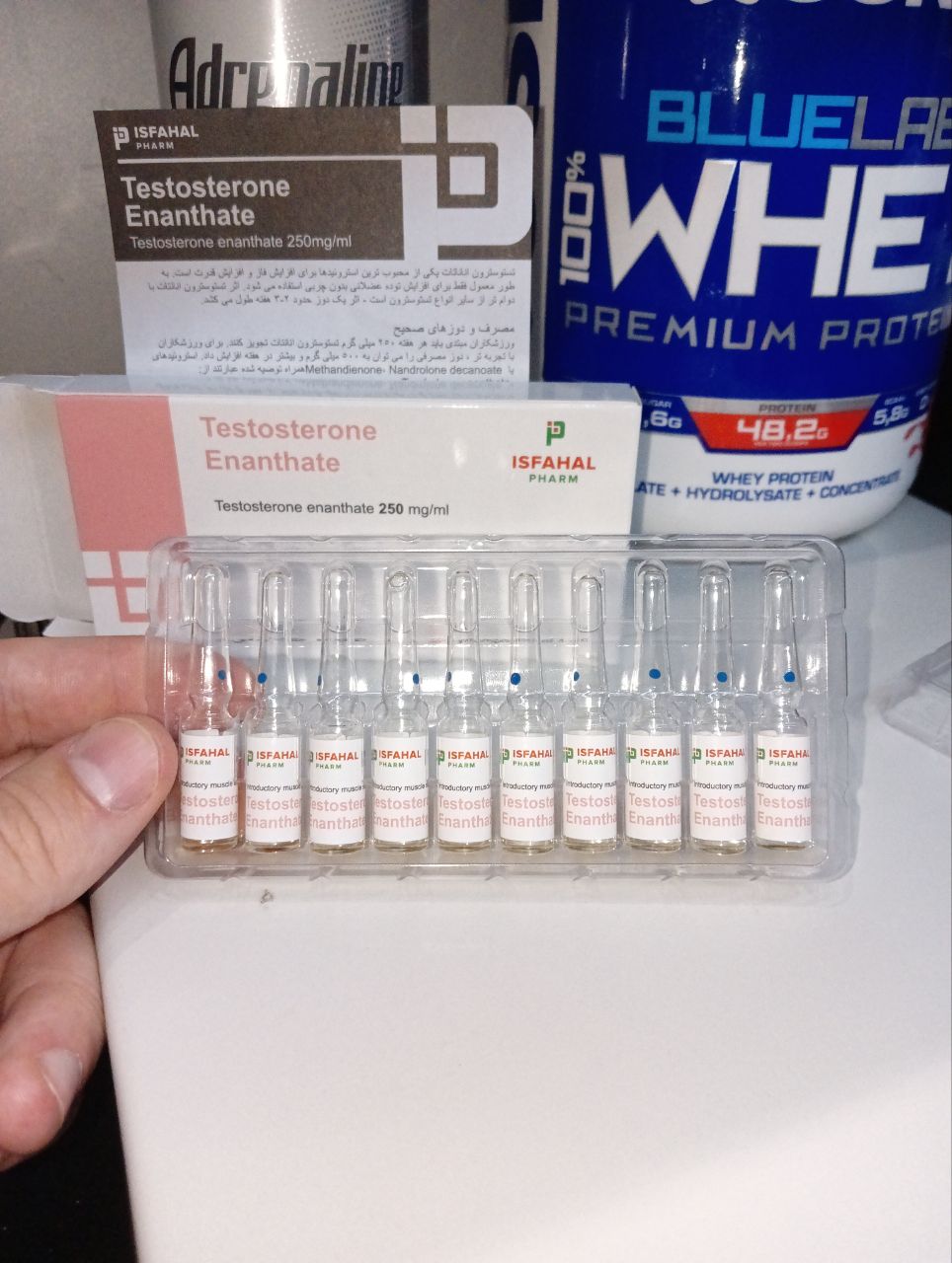 Top Pharmalabs - Бодибилдинг форум AnabolicShops