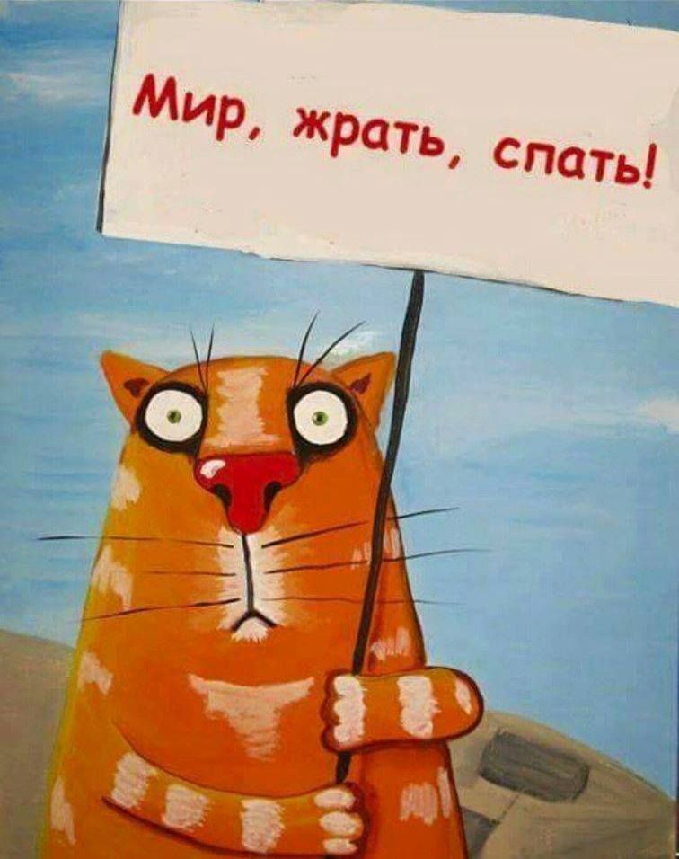 Курилка- разговоры на любые темы - Бодибилдинг форум AnabolicShops