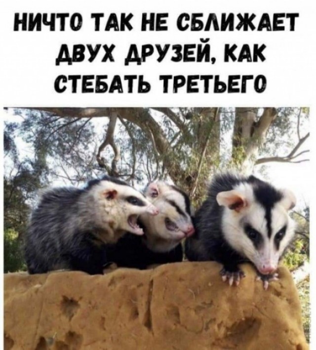 Курилка- разговоры на любые темы - Бодибилдинг форум AnabolicShops