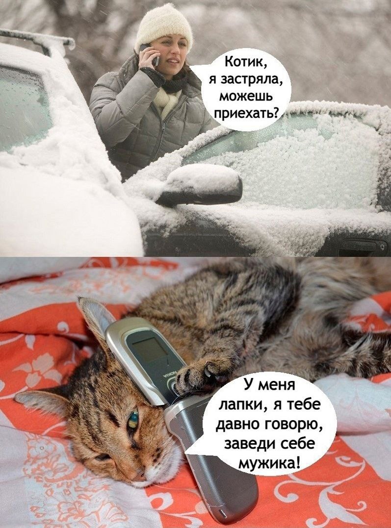 Анекдоты обо всем - Бодибилдинг форум AnabolicShops