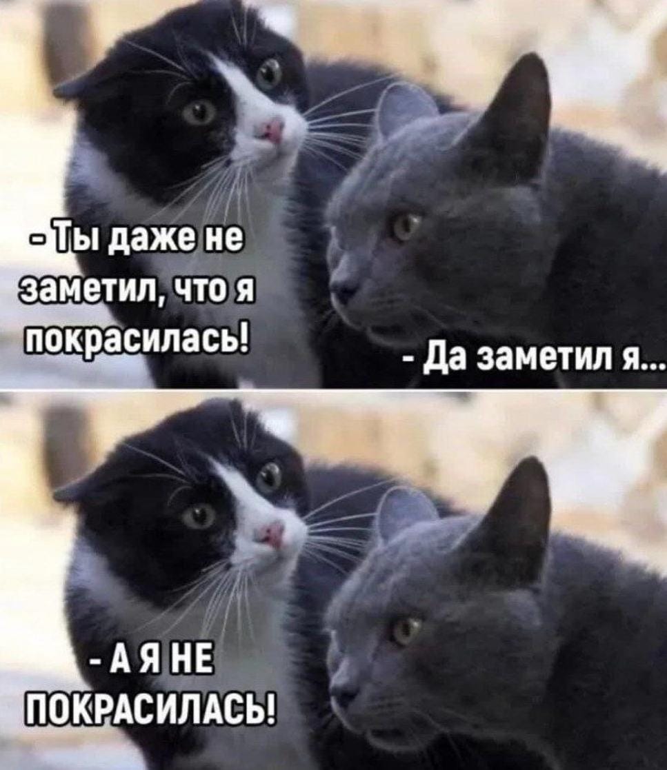 Анекдоты обо всем - Бодибилдинг форум AnabolicShops