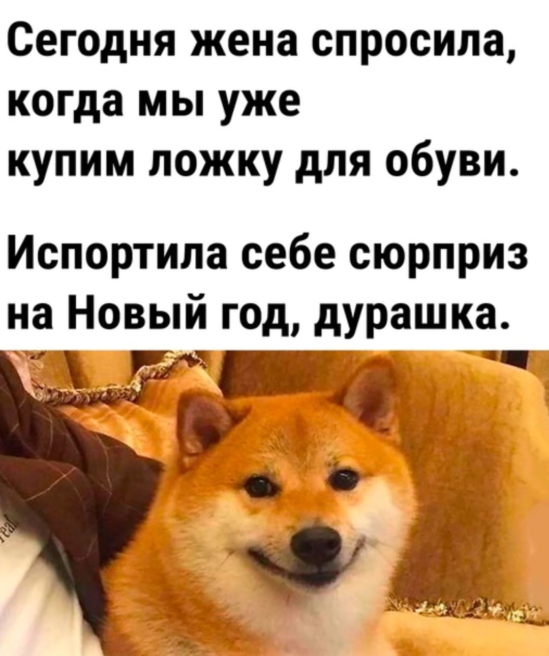 АНАБОЛИКИ.net - оф.дилер SP, Zerox, Genetic, Magnus, Lyka ! - Бодибилдинг форум AnabolicShops