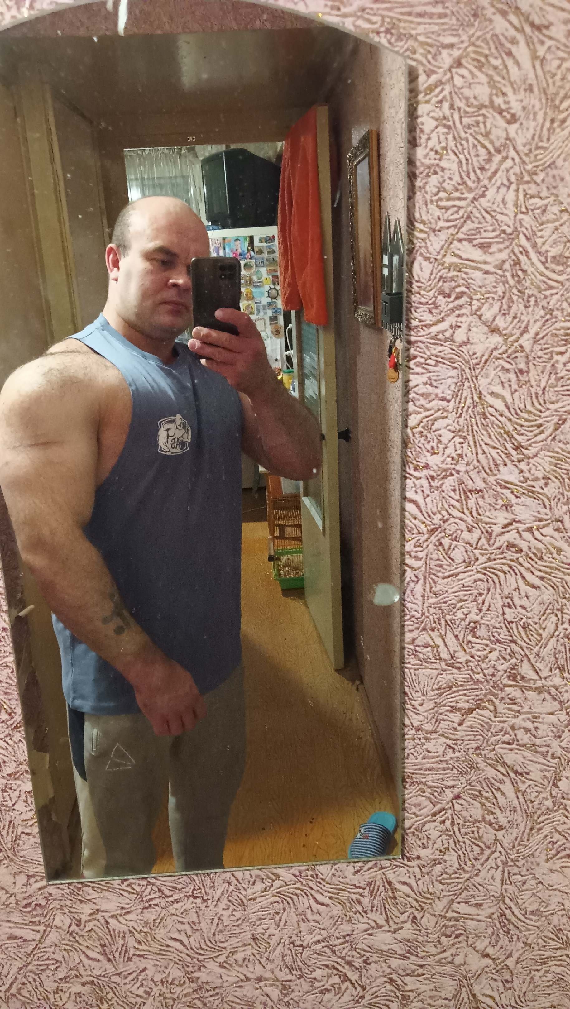 Жим, рекорд, элита и пожать четырех себя! - Бодибилдинг форум AnabolicShops