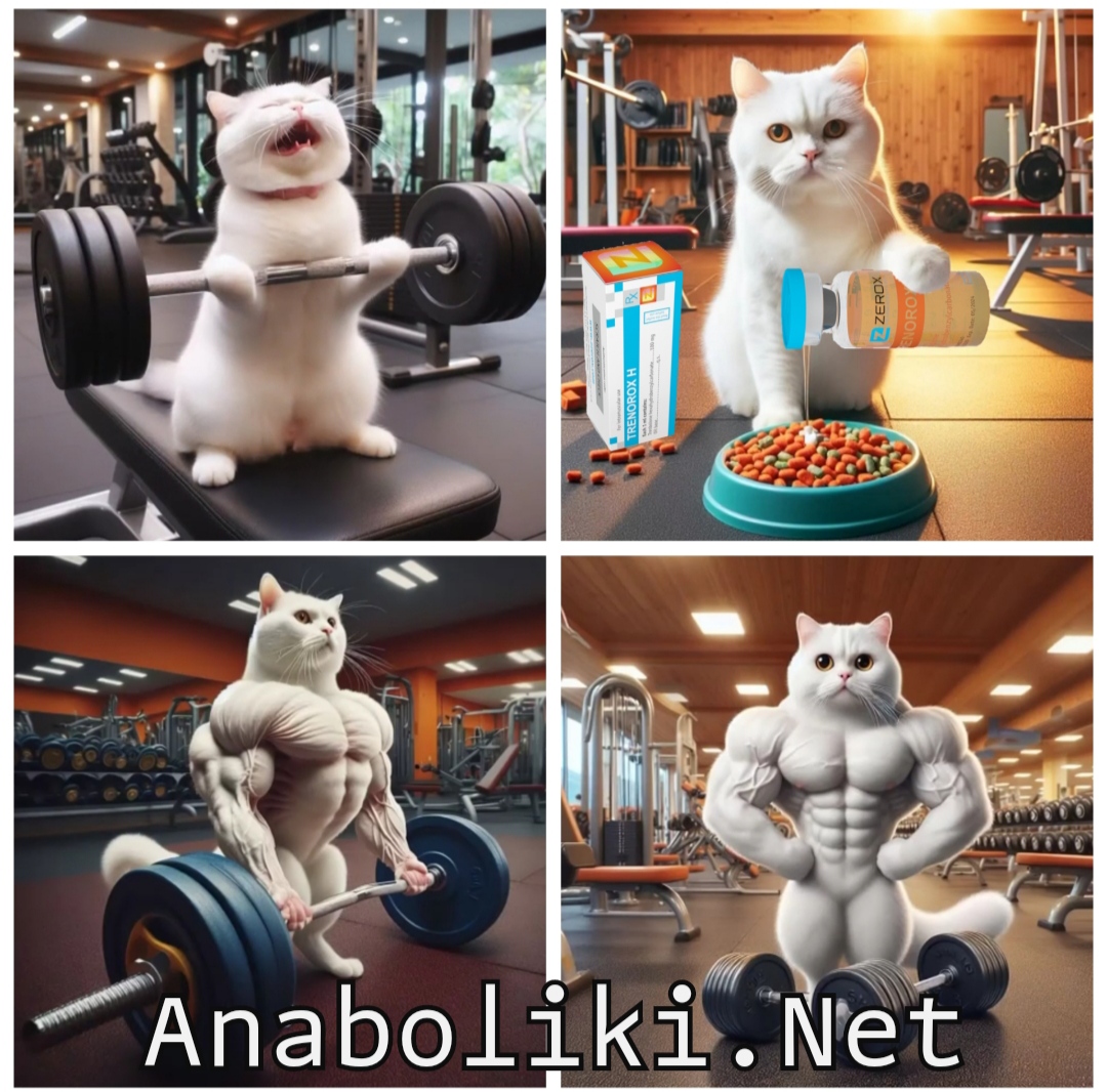 АНАБОЛИКИ.net - оф.дилер SP, Zerox, Genetic, Magnus, Lyka ! - Бодибилдинг форум AnabolicShops