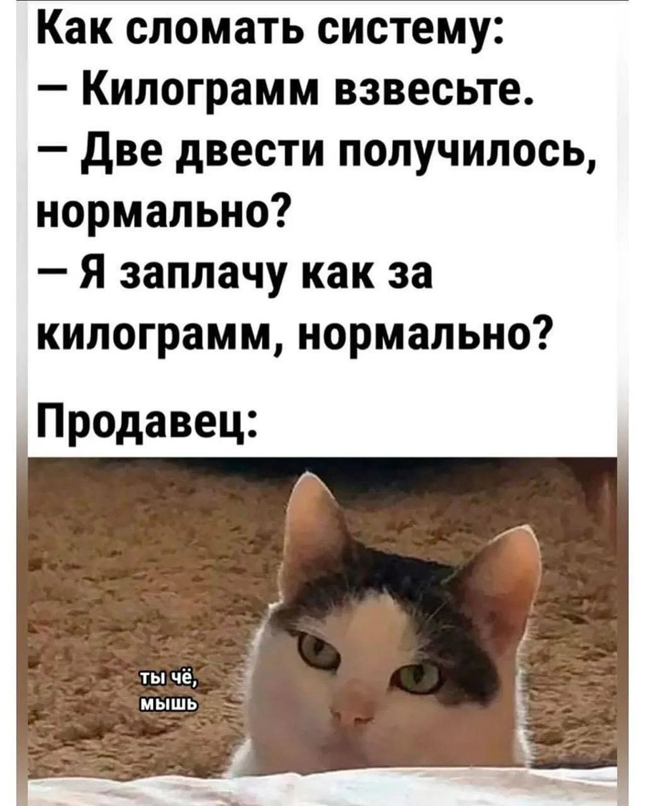 Hilma PRO - с заботой о вашем здоровье! - Бодибилдинг форум AnabolicShops