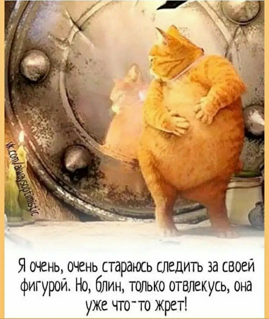 Hilma PRO - с заботой о вашем здоровье! - Бодибилдинг форум AnabolicShops