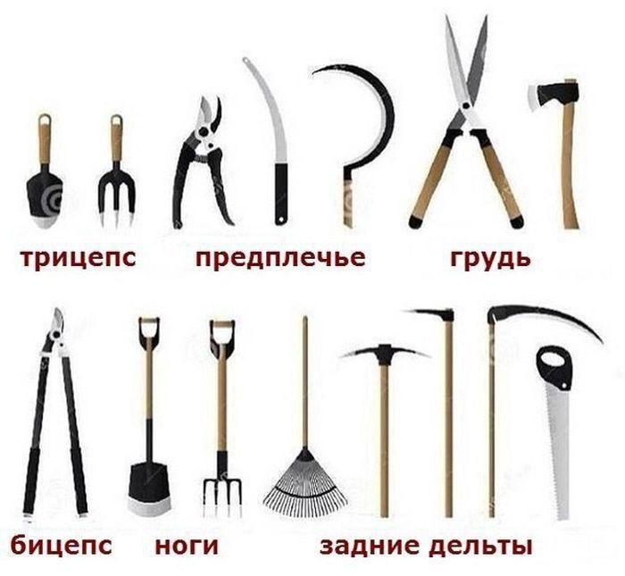 Hilma PRO - с заботой о вашем здоровье! - Бодибилдинг форум AnabolicShops