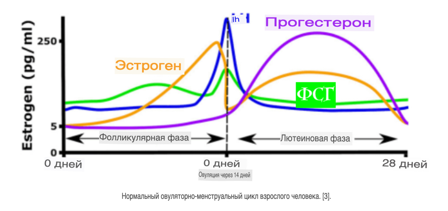 Hilma PRO - с заботой о вашем здоровье! - Бодибилдинг форум AnabolicShops