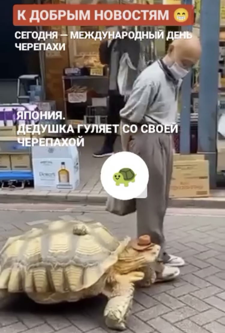 Hilma PRO - с заботой о вашем здоровье! - Бодибилдинг форум AnabolicShops