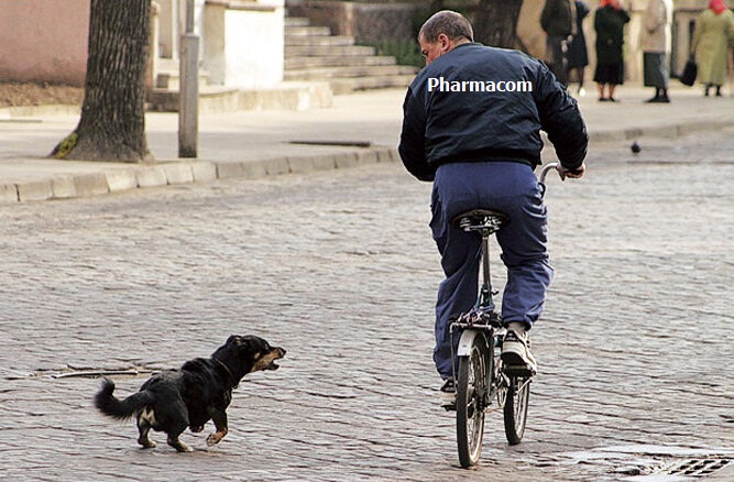 Pharmacom Labs - Бодибилдинг форум AnabolicShops