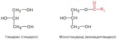 Вырезанный абцесс. Продукция Эрго. RusMassa - Бодибилдинг форум AnabolicShops