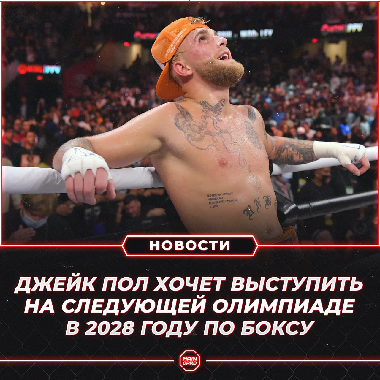 Новости из мира ММА и единоборств - Бодибилдинг форум AnabolicShops