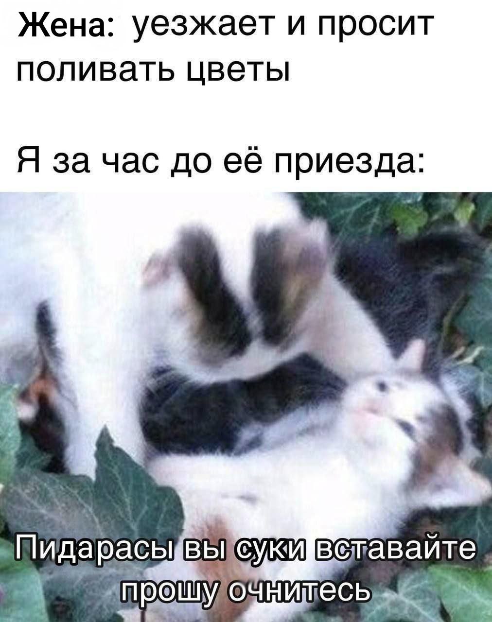 Приколюшные картинки - Бодибилдинг форум AnabolicShops