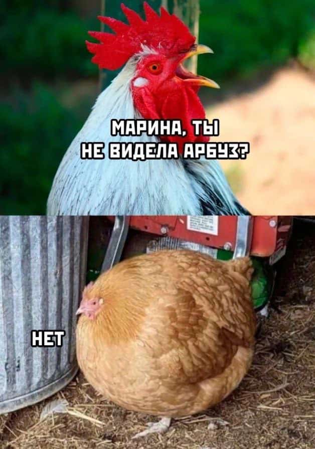 Приколюшные картинки - Бодибилдинг форум AnabolicShops
