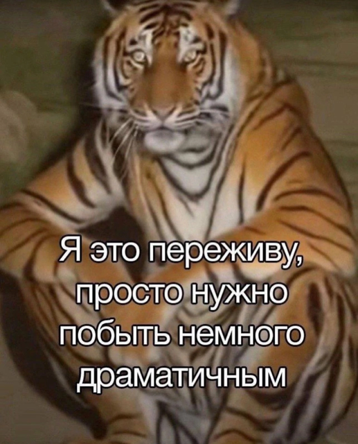 Приколюшные картинки - Бодибилдинг форум AnabolicShops