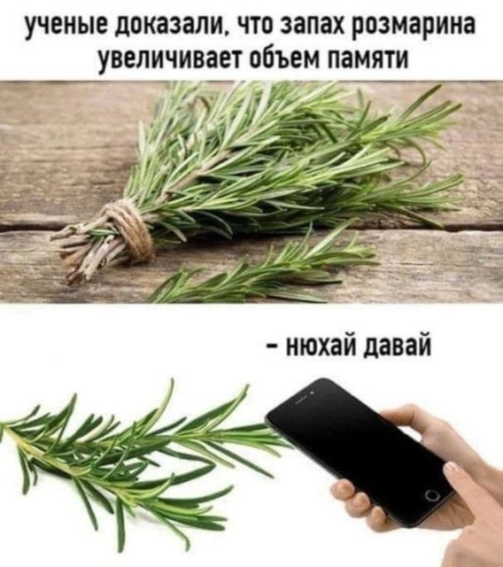 Приколюшные картинки - Бодибилдинг форум AnabolicShops