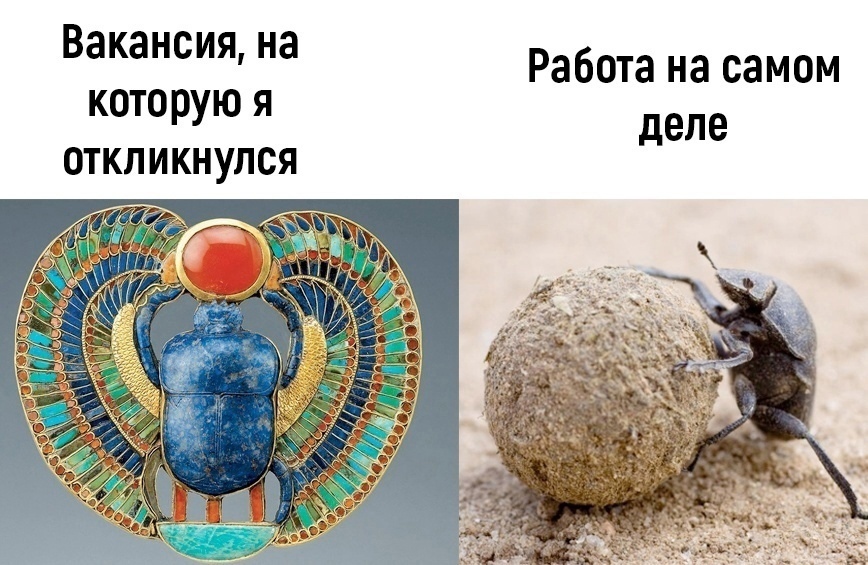 Приколюшные картинки - Бодибилдинг форум AnabolicShops