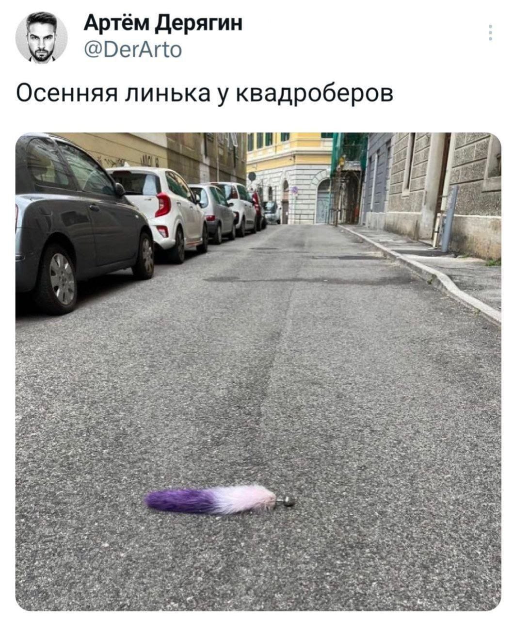Приколюшные картинки - Бодибилдинг форум AnabolicShops