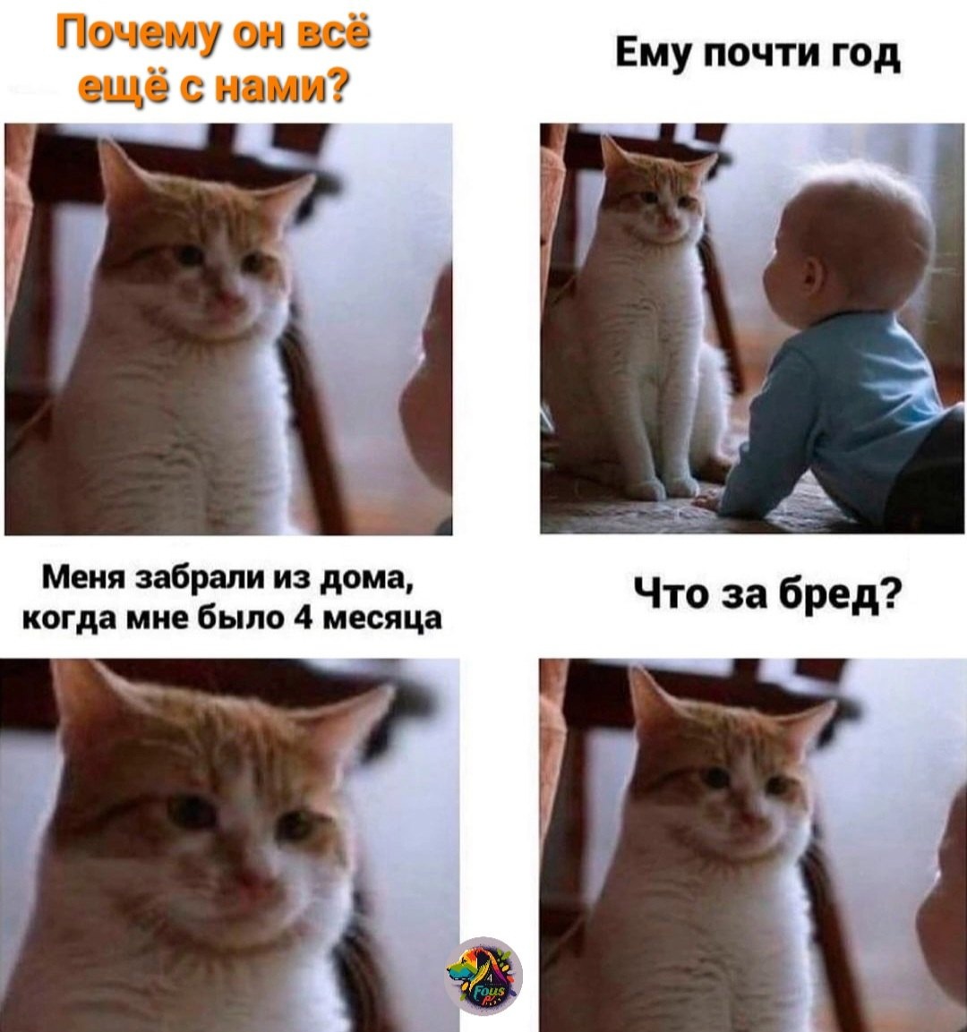 Приколюшные картинки - Бодибилдинг форум AnabolicShops