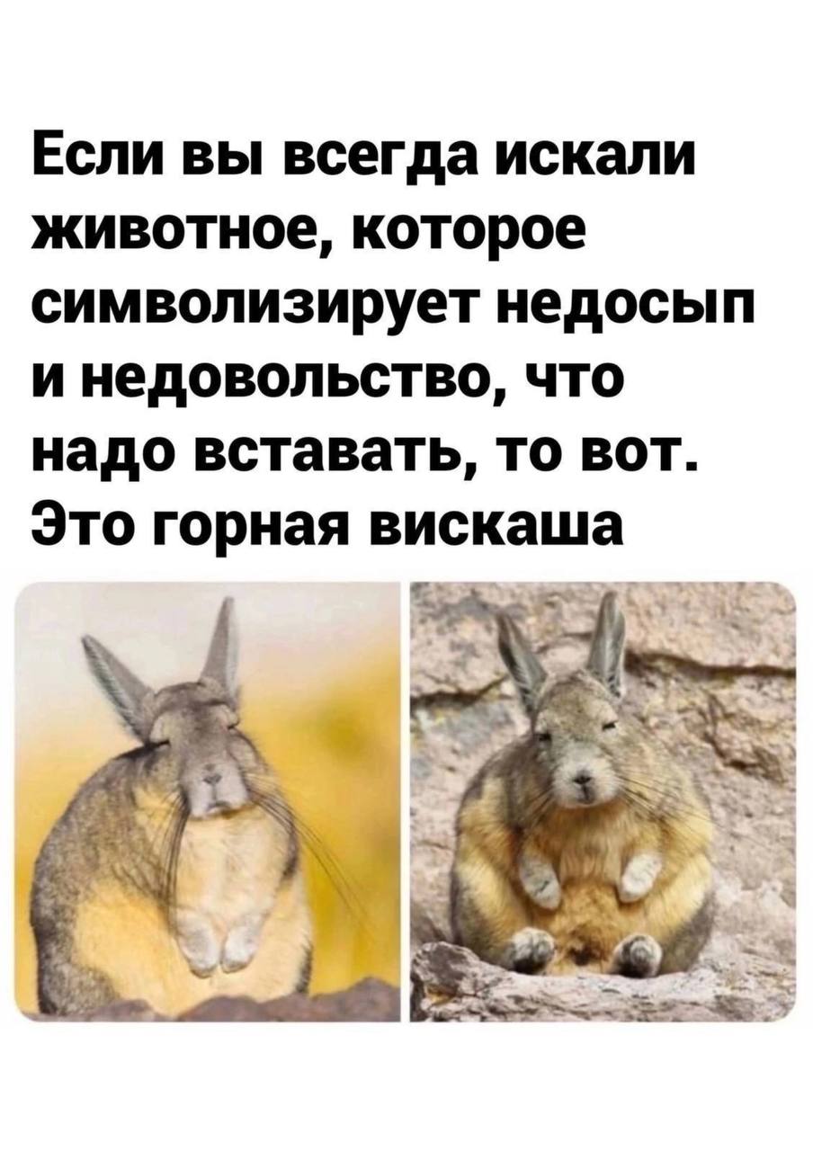 Приколюшные картинки - Бодибилдинг форум AnabolicShops