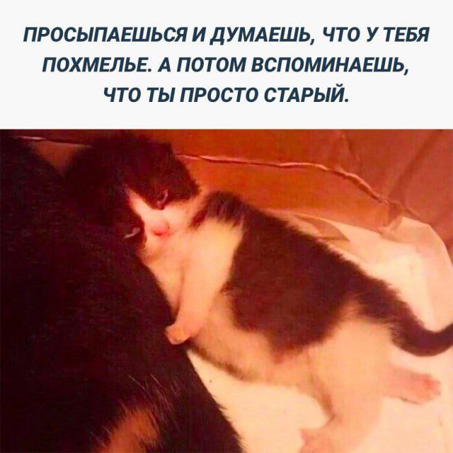 Приколюшные картинки - Бодибилдинг форум AnabolicShops