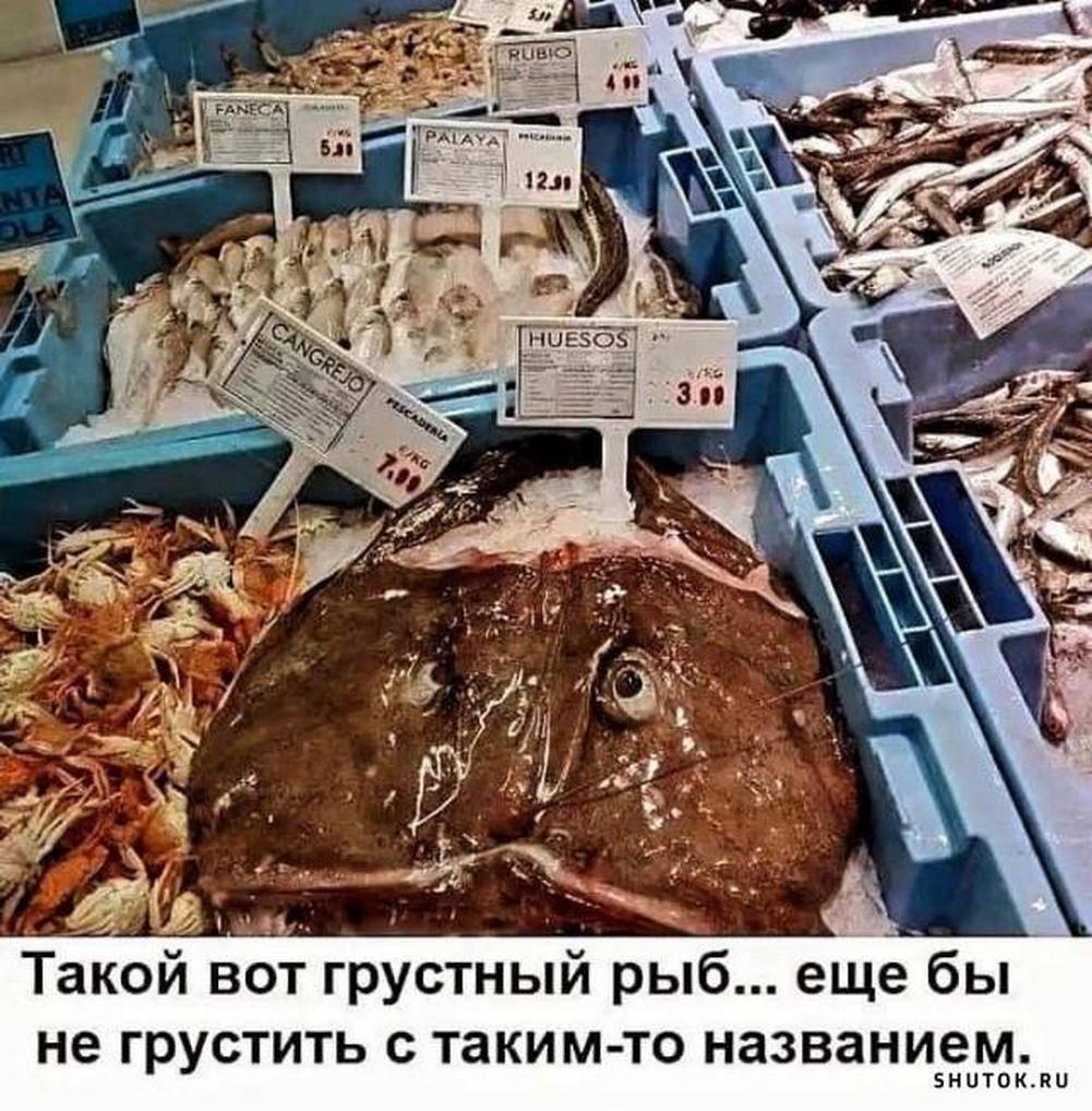 Приколюшные картинки - Бодибилдинг форум AnabolicShops