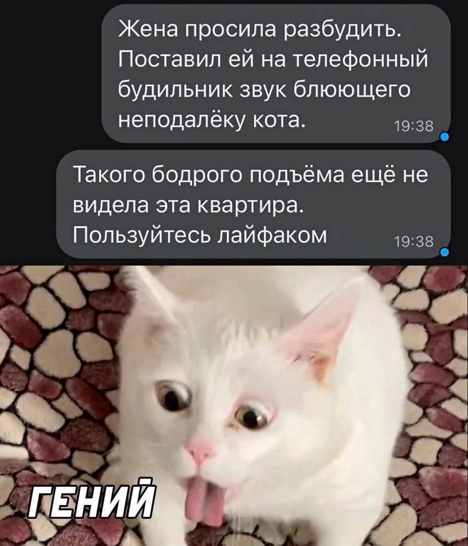 Приколюшные картинки - Бодибилдинг форум AnabolicShops