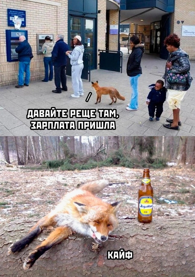 Приколюшные картинки - Бодибилдинг форум AnabolicShops