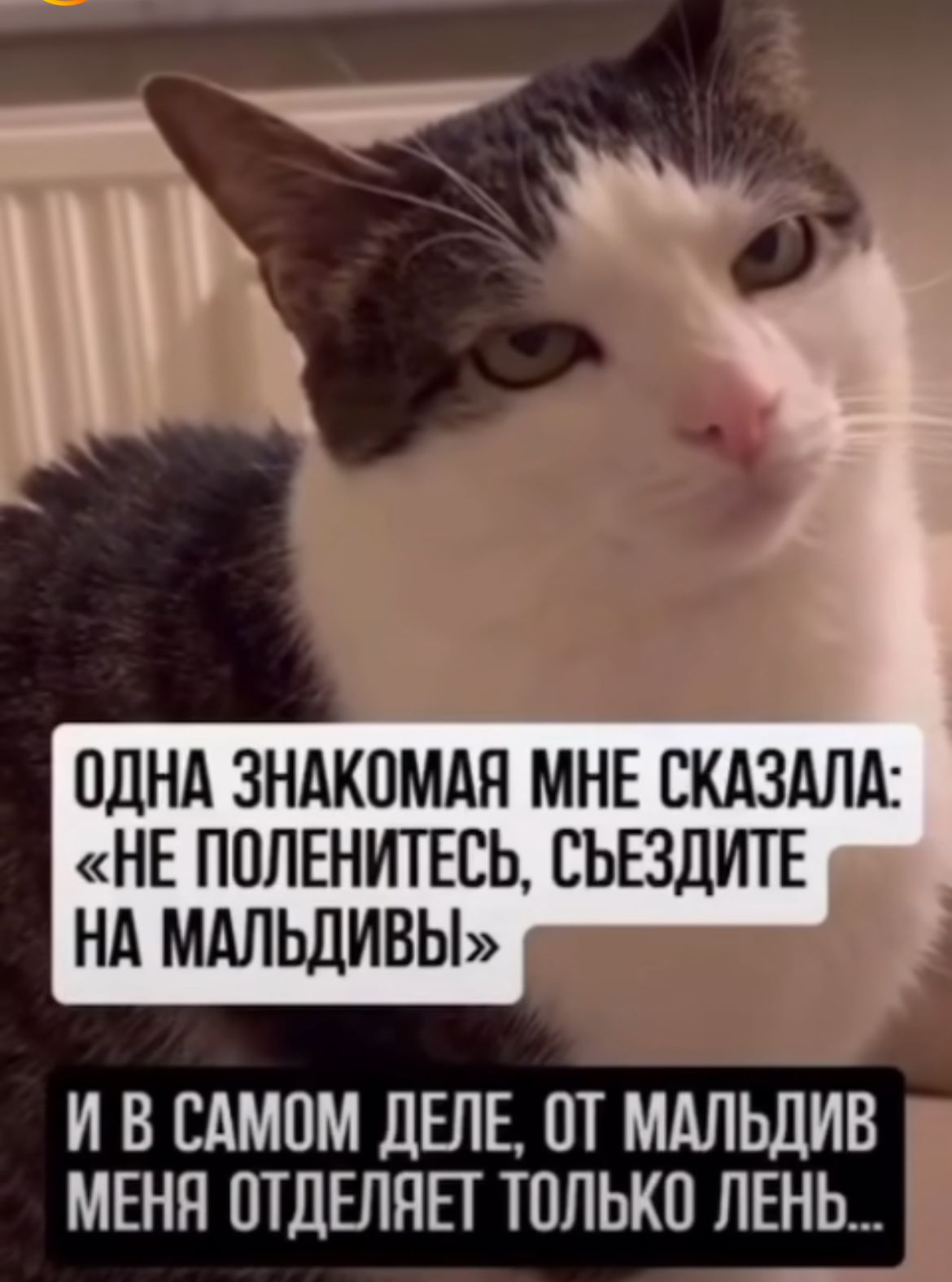 Приколюшные картинки - Бодибилдинг форум AnabolicShops