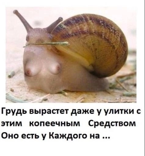 Приколюшные картинки - Бодибилдинг форум AnabolicShops
