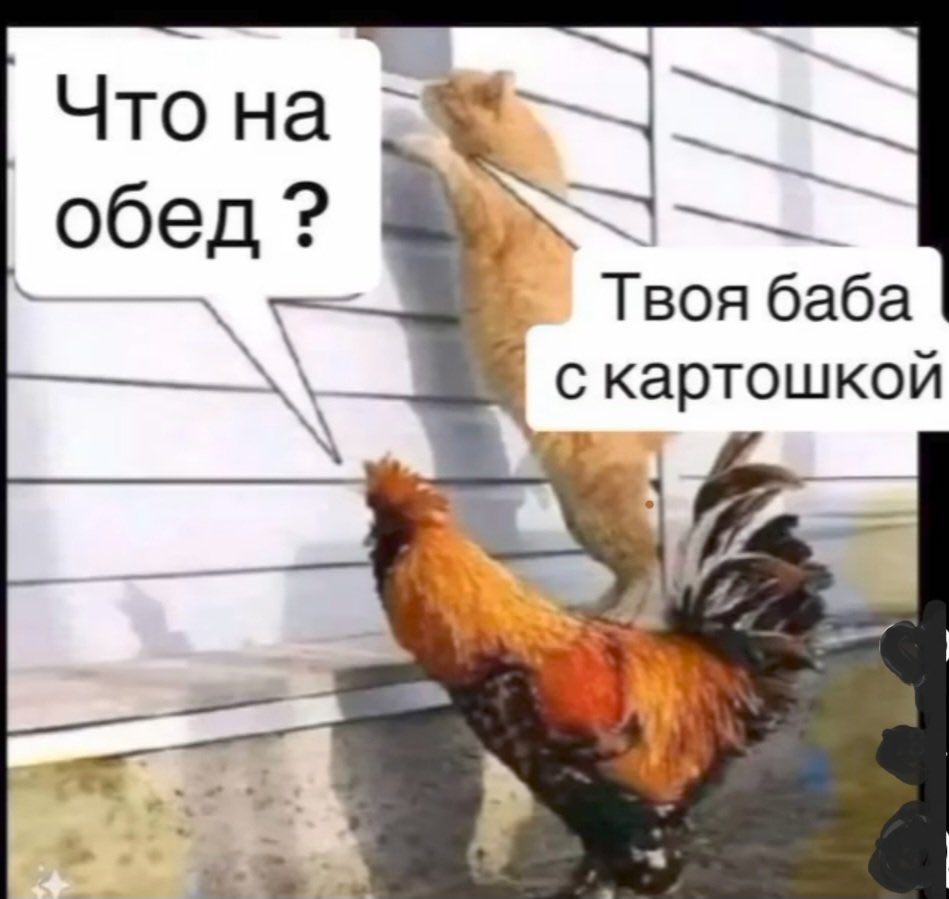 Приколюшные картинки - Бодибилдинг форум AnabolicShops